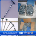 Q195 Bwg3-20 Bright Polish Galvanized Roofing Nails From Anping Factroy